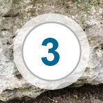 Das Bild zeigt: Trasswände