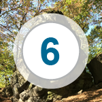 Das Bild zeigt: Teufelsknochen