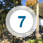 Das Bild zeigt: Weinberghäuschen