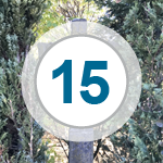 Das Bild zeigt: Propstei Buchholz